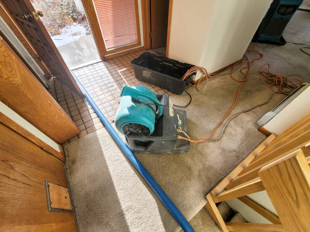 Best Professional water damage repair  in Edmonds, WA