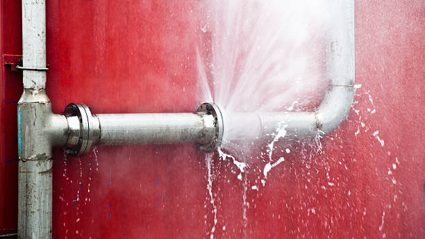Best Local water damage restoration  in Edmonds, WA